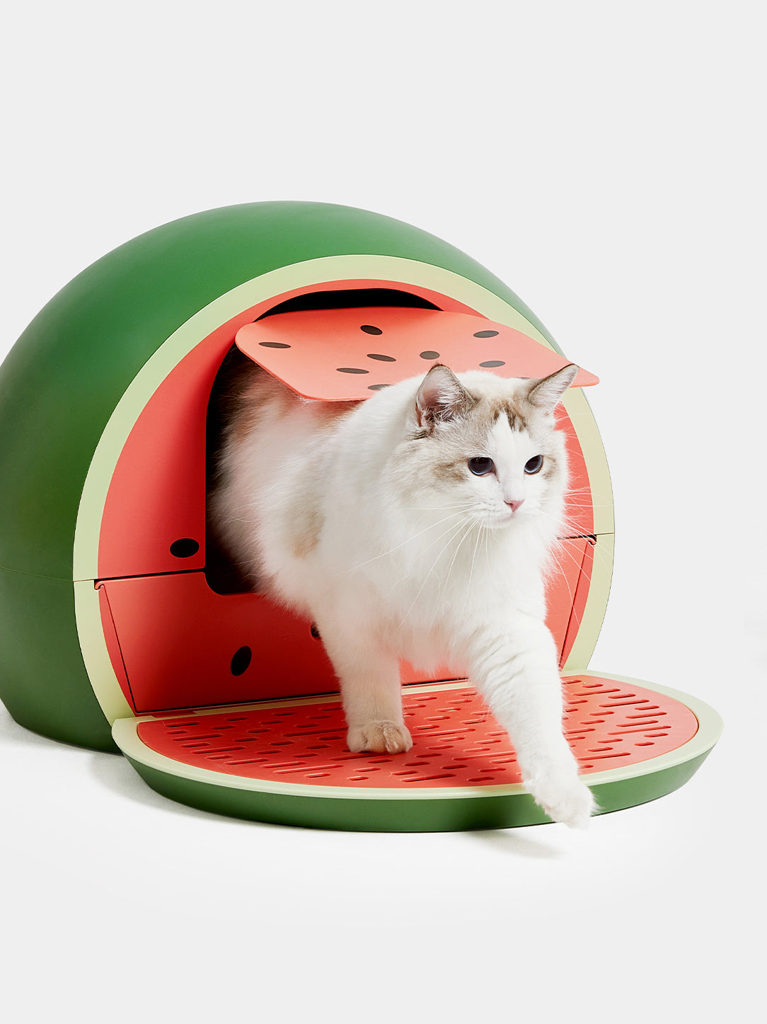 Vetreska - Watermelon Kitty Kove