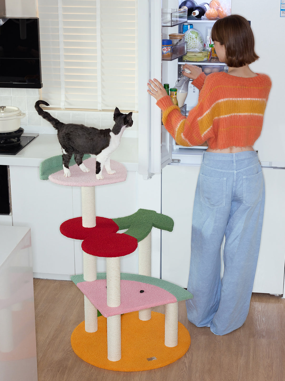 Fruit Frenzy Cat Climber