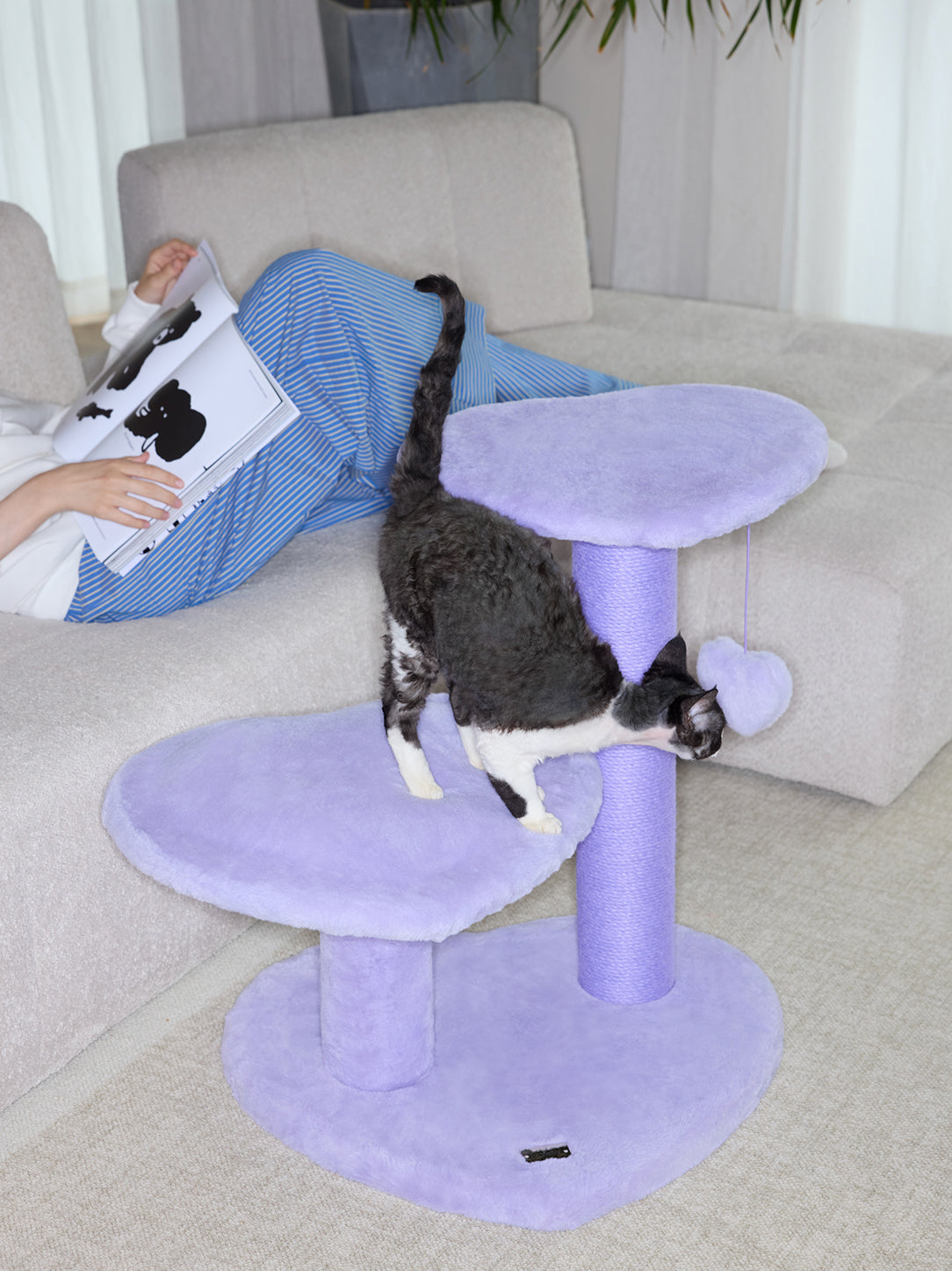 Heartpurrple Cat Climber - 4 Platforms